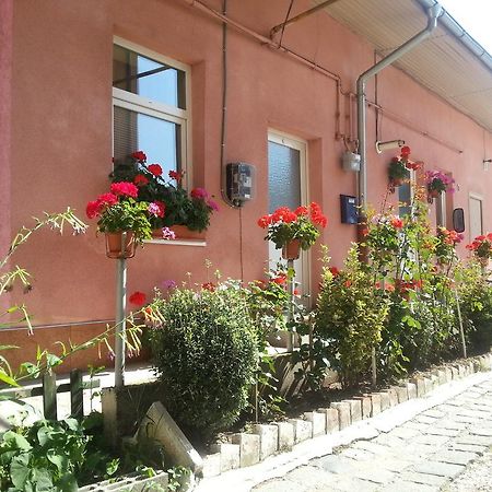 Center Park Apartment Cluj-Napoca Eksteriør bilde