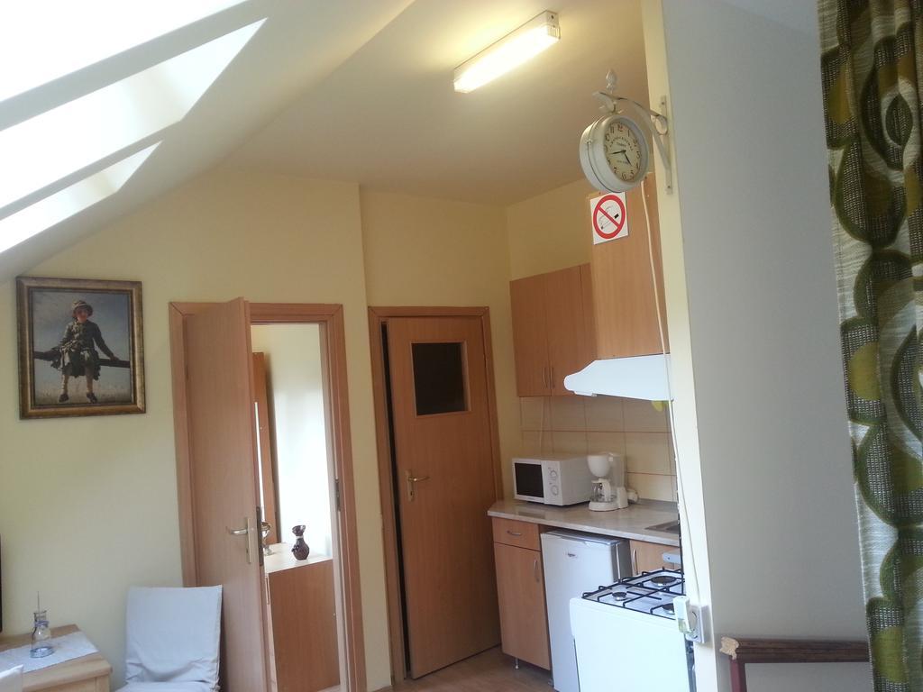 Center Park Apartment Cluj-Napoca Eksteriør bilde